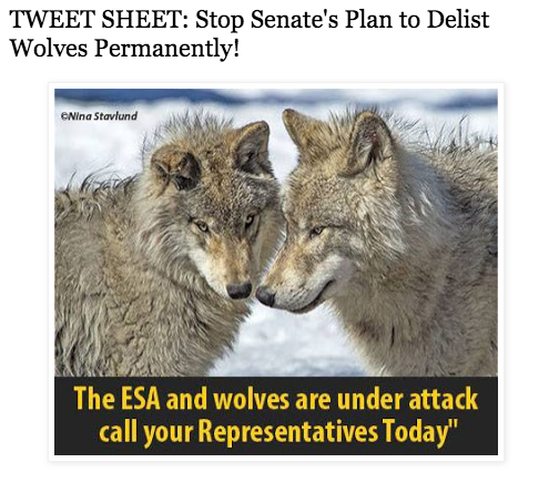 EcoUprising - Stop Senate plans to deslist wolves permanently!