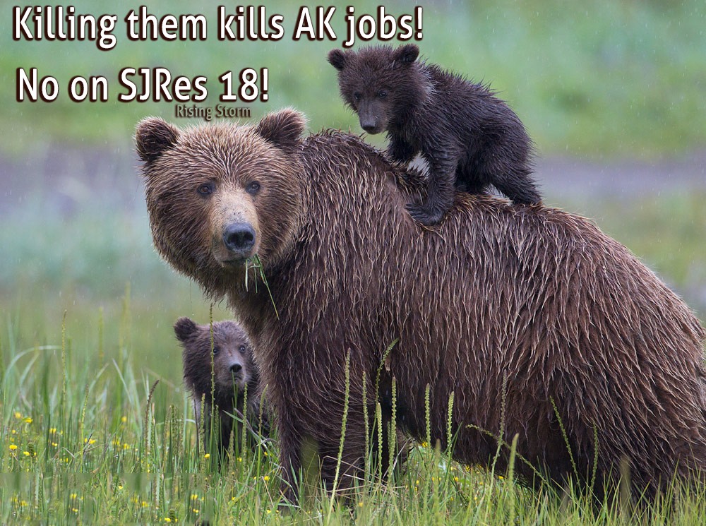 SJRes 18 kills AK jobs, wildlife, and opens public lands up to exploitation!