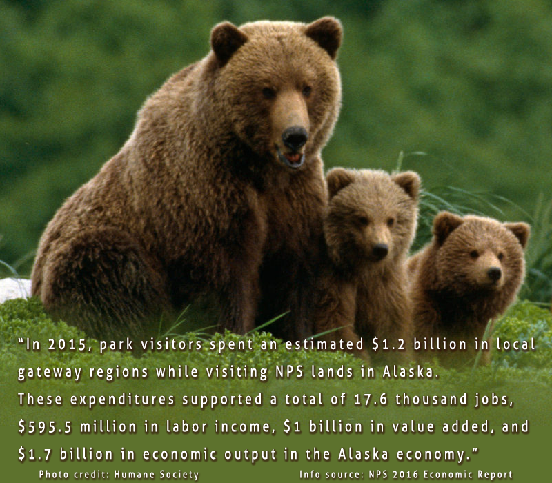 Killing Grizzlies in their dens will kill Alaska income!