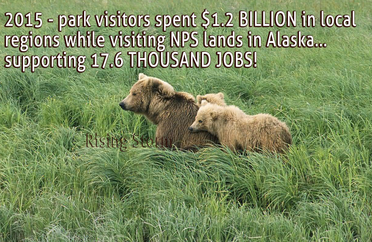 SJ Res 18 will kill Alaskan jobs as it kills AK wildlife on National Wildlife Refuge lands!