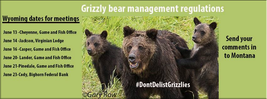 FaceBook Group: Don't Delist Grizzlies