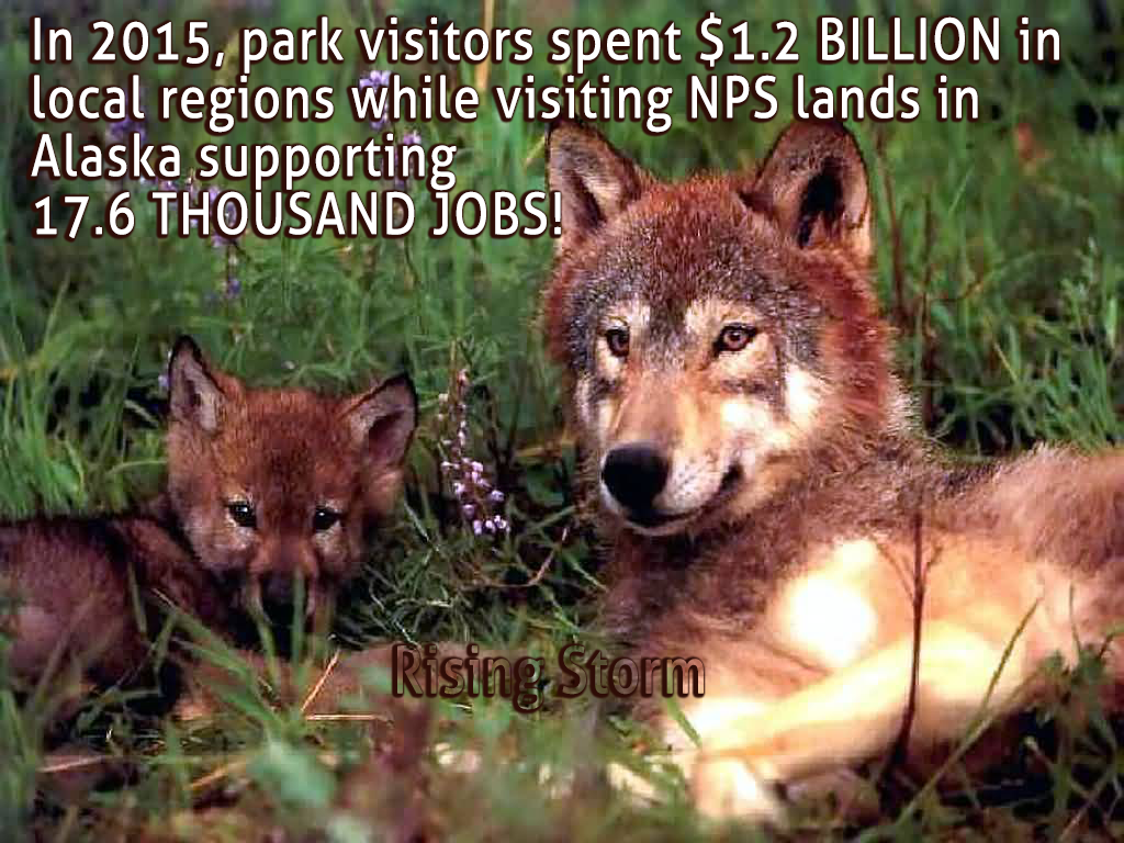 SJ Res 18 will kill Alaskan jobs as it kills AK wildlife on National Wildlife Refuge lands!